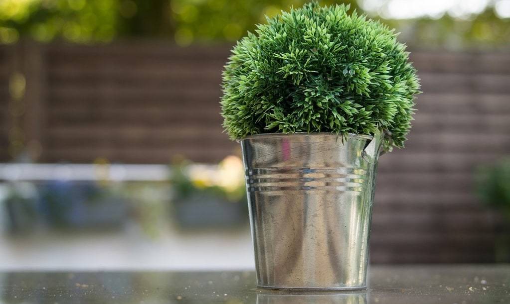 Décorer sa maison avec une plante artificielle